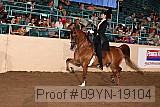 09yn-19104 proof