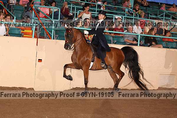 Proof 09yn-19105