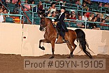 09yn-19105 proof