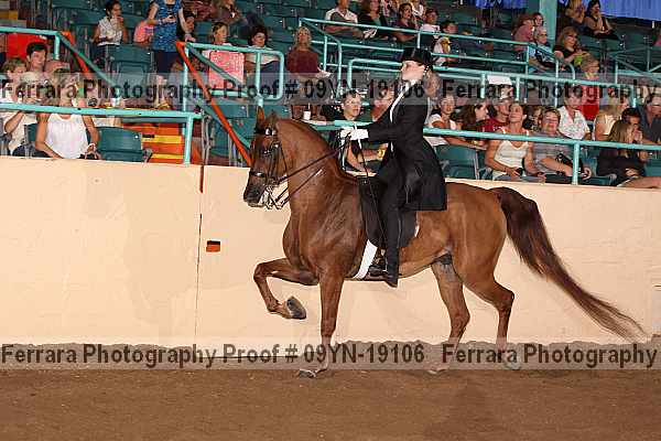 Proof 09yn-19106