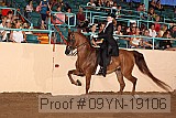 09yn-19106 proof