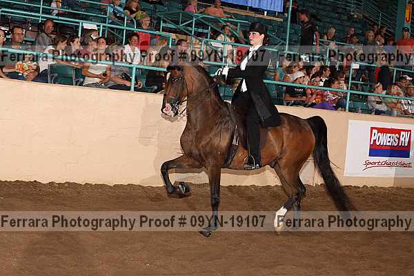 Proof 09yn-19107