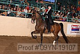 09yn-19107 proof