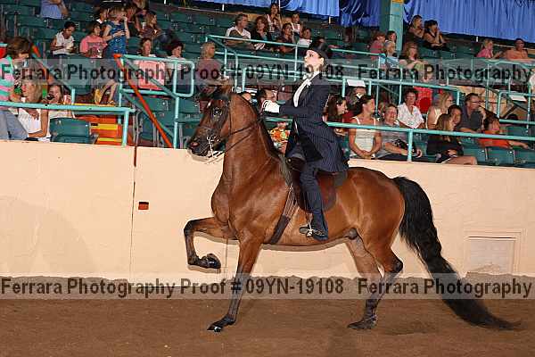 Proof 09yn-19108