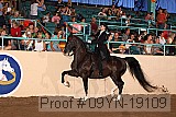 09yn-19109 proof