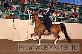 09yn-19110 proof