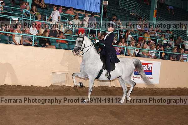Proof 09yn-19112