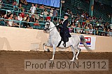 09yn-19112 proof