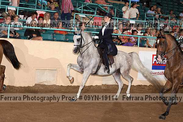 Proof 09yn-19114