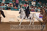 09yn-19114 proof