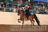 09yn-19115 proof
