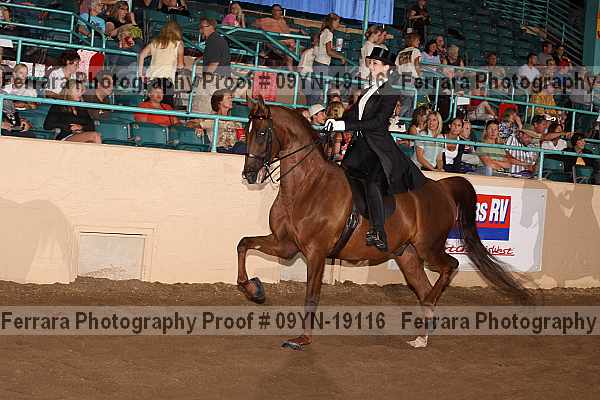 Proof 09yn-19116