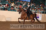 09yn-19116 proof
