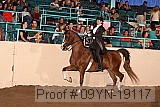 09yn-19117 proof