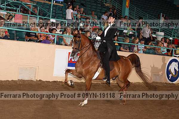 Proof 09yn-19118