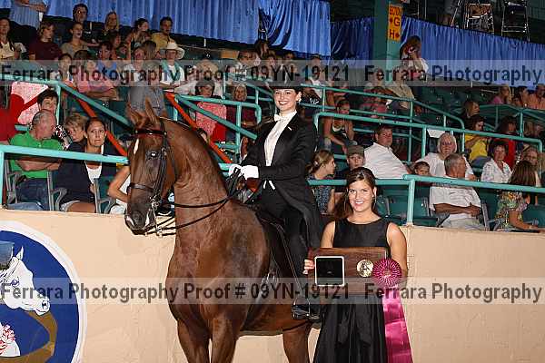 Proof 09yn-19121
