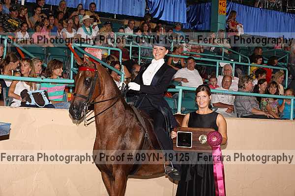 Proof 09yn-19125