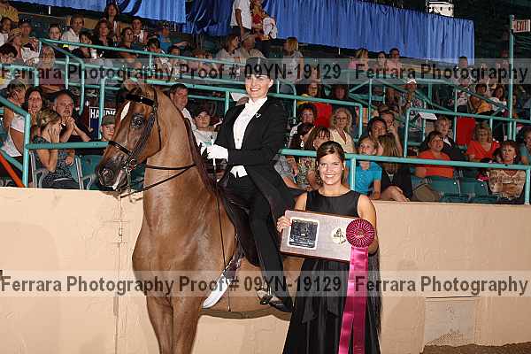 Proof 09yn-19129