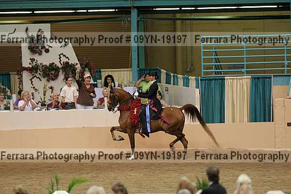 Proof 09yn-19197