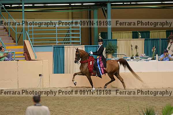 Proof 09yn-19198
