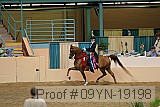 09yn-19198 proof