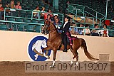 09yn-19207 proof