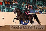 09yn-19208 proof