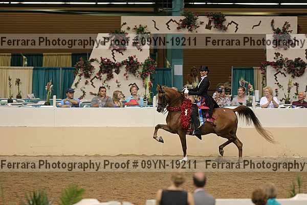 Proof 09yn-19211