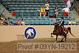 09yn-19212 proof