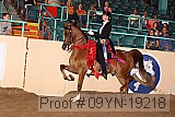 09yn-19218 proof