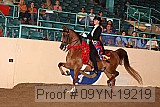 09yn-19219 proof