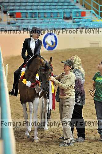 Proof 09yn-14403