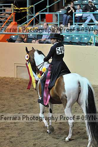 Proof 09yn-14406