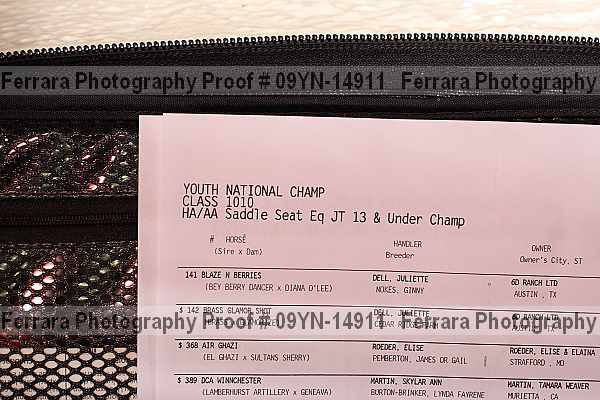 Proof 09yn-14911
