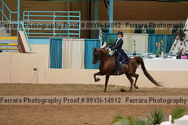 Proof 09yn-14912
