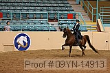 09yn-14913 proof