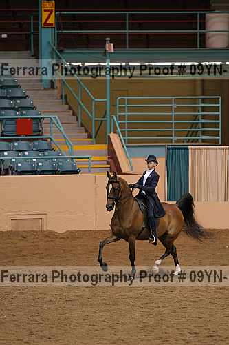 Proof 09yn-14918