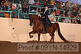 09yn-14929 proof