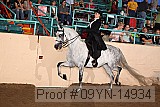 09yn-14934 proof