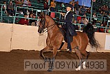 09yn-14938 proof