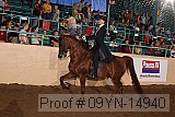 09yn-14940 proof