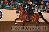09yn-14941 proof