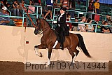 09yn-14944 proof