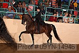 09yn-14946 proof