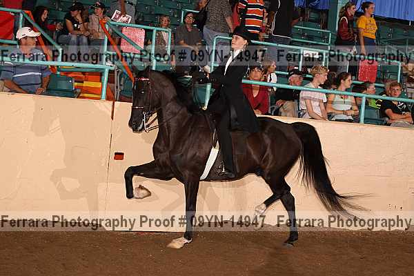 Proof 09yn-14947