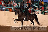 09yn-14947 proof