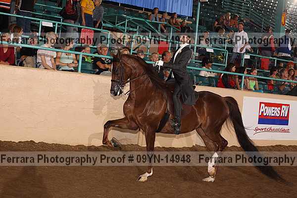 Proof 09yn-14948