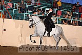 09yn-14951 proof