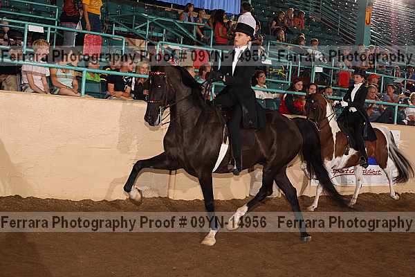 Proof 09yn-14956
