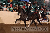 09yn-14956 proof
